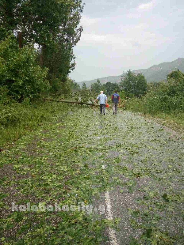 kataigida 2017 image-0-02-04-51478f11cc587a548d7d1054b069ae213aacf0ee54e264c83d5ad875fb0f85d6-V