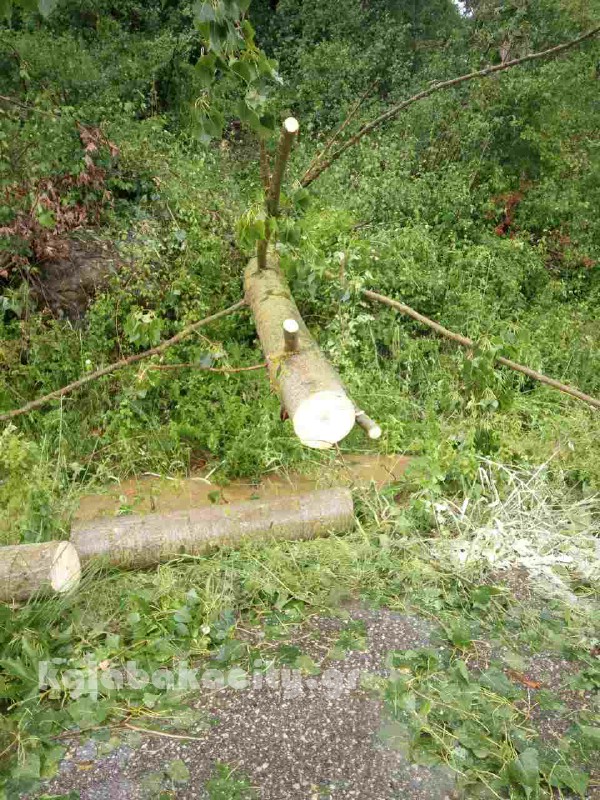 kataigida 2017 image-0-02-04-518b6096e715e8285f837d574400a2680e027120c07f0e28594b02dd59ca6a24-V