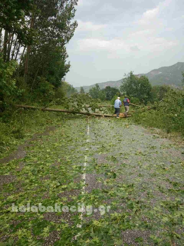 kataigida 2017 image-0-02-04-56717adf853ef5435472f8d201e4345ac789a58a7c5c8f5215797f6d8c8c73b4-V