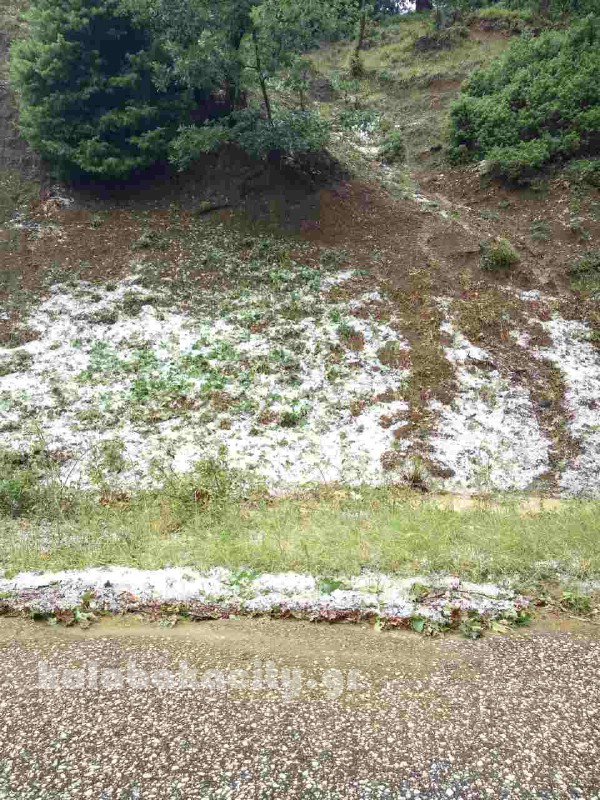 kataigida 2017 image-0-02-04-8ad3edb672c0377c15596428da3586550794f5453e4f90c788edd9e6eb4a053b-V