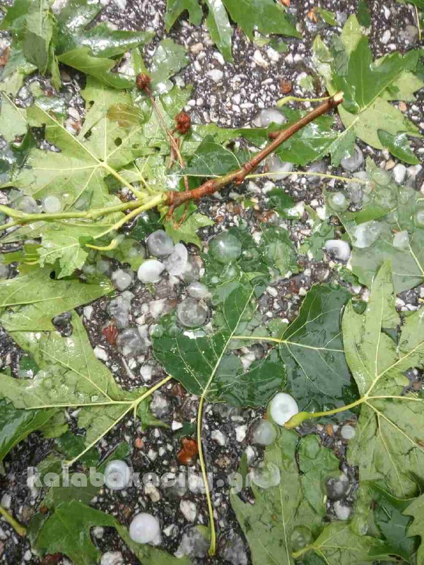 kataigida 2017 image-0-02-04-a1c49a6ffe286c28df43d50f22b72ed53b98528f40493696a956bbeefbe4830d-V