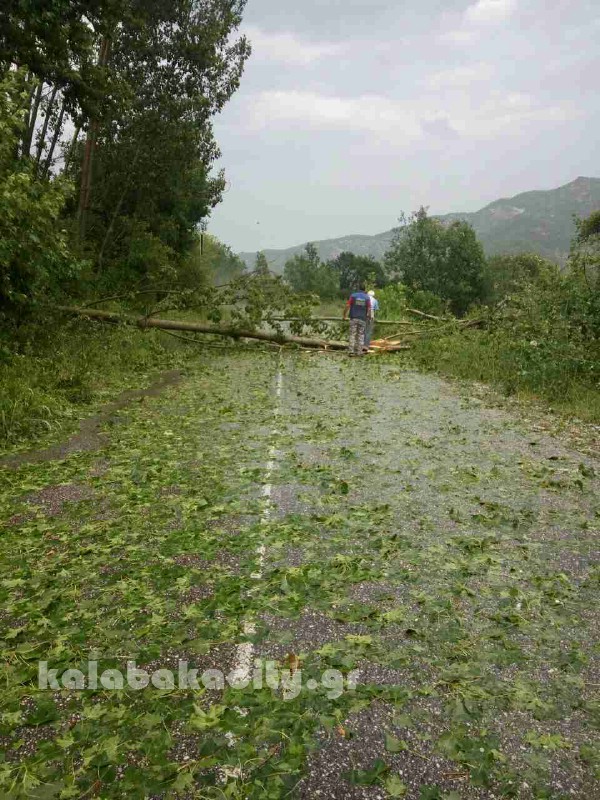 kataigida 2017 image-0-02-04-a32d2491b3acf7f52af12690b8661ea94e1ad2b75d1d986298378e9d6cc96bc5-V