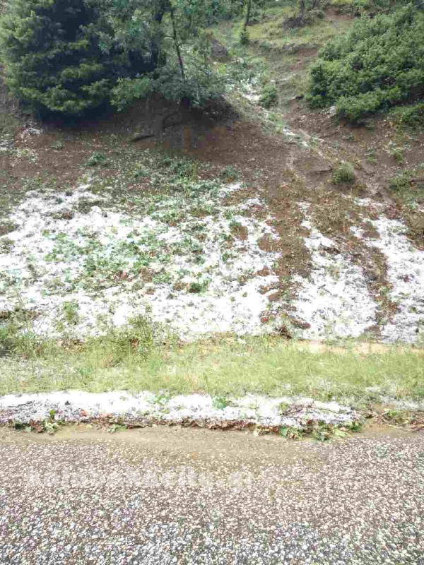 kataigida 2017 image-0-02-04-bc154377f0fc3d1bd1d5c8b1c6b46367760b1f3566aad53211b7775ee20e07fb-V