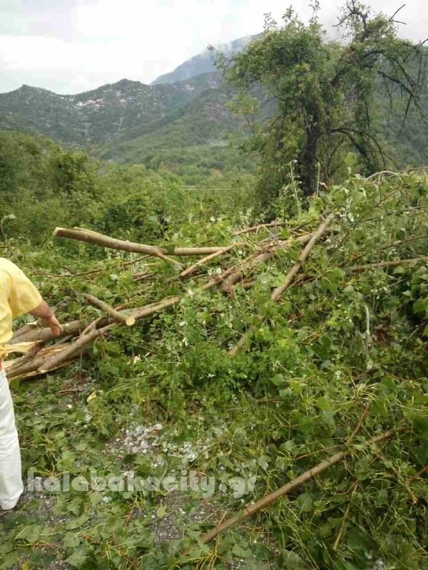 kataigida 2017 image-0-02-04-d26427d35ab58e02748ea1b523ead37121f4a414378ac444d03bef256b51d6ac-V