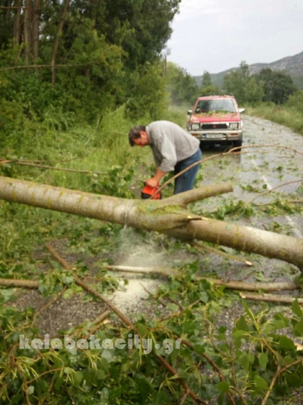 kataigida 2017 image-0-02-05-20ea803493504b602ba00a179e26d5c467df34270f36ef298a99a48289bb1c04-V