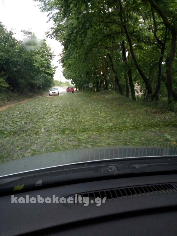 kataigida 2017 image-0-02-05-4018e81e5d103eb52695c464662e255f0b28ecd27f284305dbbbd97ef6582539-V