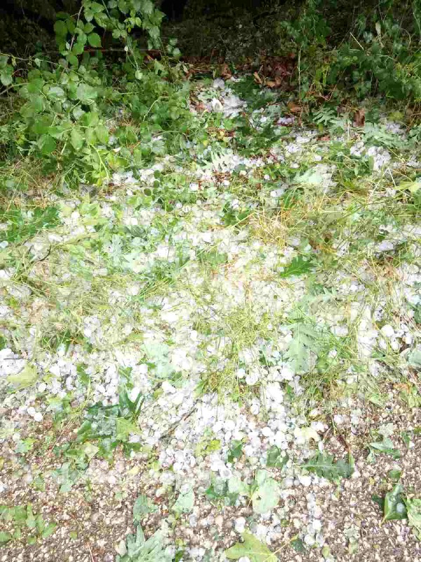 kataigida 2017 image-0-02-05-4af4ff76cbc0cded41b6754d5d18329be0786954deb86ada3960409887994b36-V