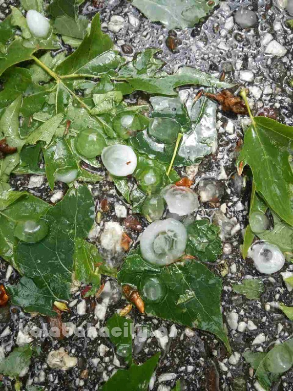 kataigida 2017 image-0-02-05-57047a1586ce085b1a9c836164f5f06beb5932f4272785c7cda918c51ece90eb-V