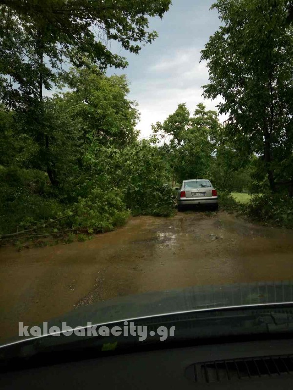 kataigida 2017 image-0-02-05-636b0c0c7d1cc88558067a2ee298ec1e03d401d1347cdf16648ea6351ffb2750-V