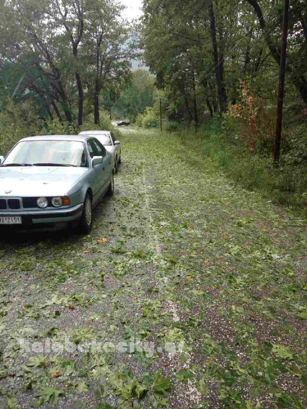 kataigida 2017 image-0-02-05-6b5f236cc3d1855d7c5caa232663c1e229957735f7da3f96274c08ab3970b30f-V