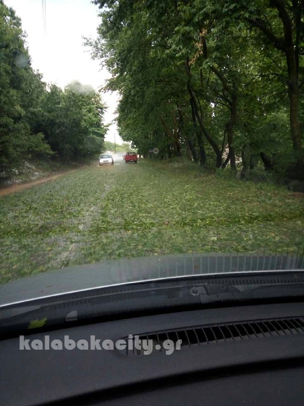 kataigida 2017 image-0-02-05-ceb6e142438bb654280ed130cdb7ad7653e7bfe9a5738606d48f44659a8ed7b0-V