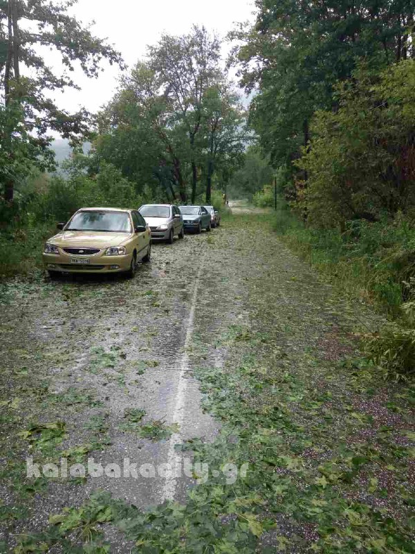 kataigida 2017 image-0-02-05-ea578af074200f564fff3d8257101245e0c7b1f5a17f7cc16848a554c23272e8-V