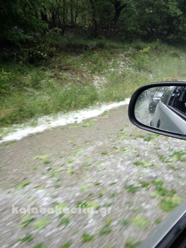 kataigida 2017 image-0-02-05-fdf815951927e6a2b614d854c6cce7679f0bec2694eb5ea7a401a808899d5963-V