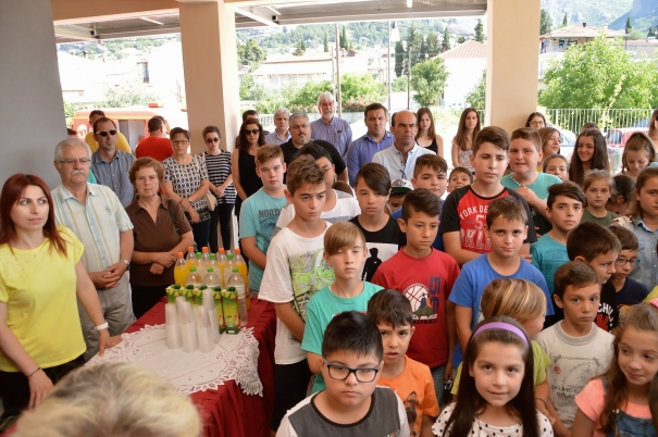 sxoleio 5o kalampaka egkainia 11