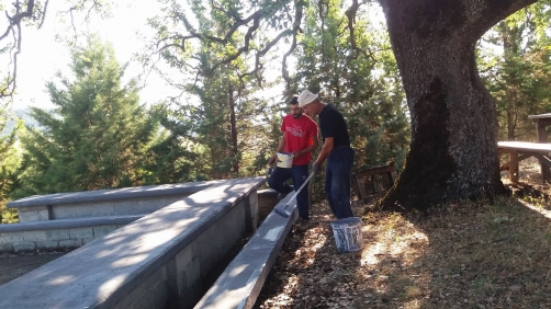 19807470 923076534498276 1422765780 o