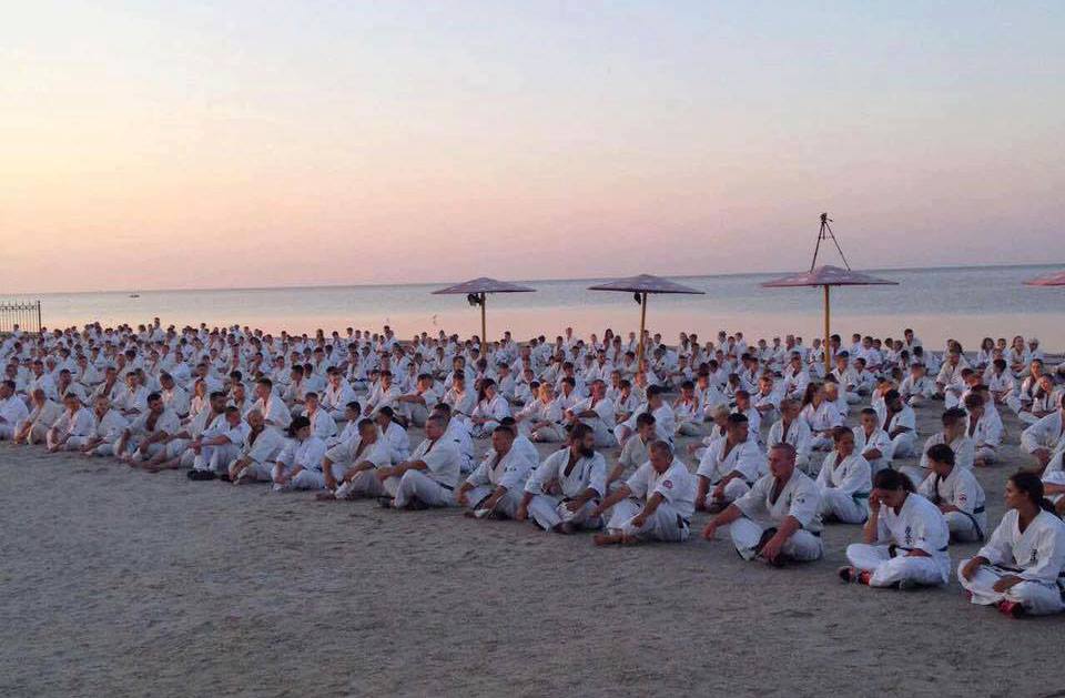 21100549 504832886531829 1644983196 n