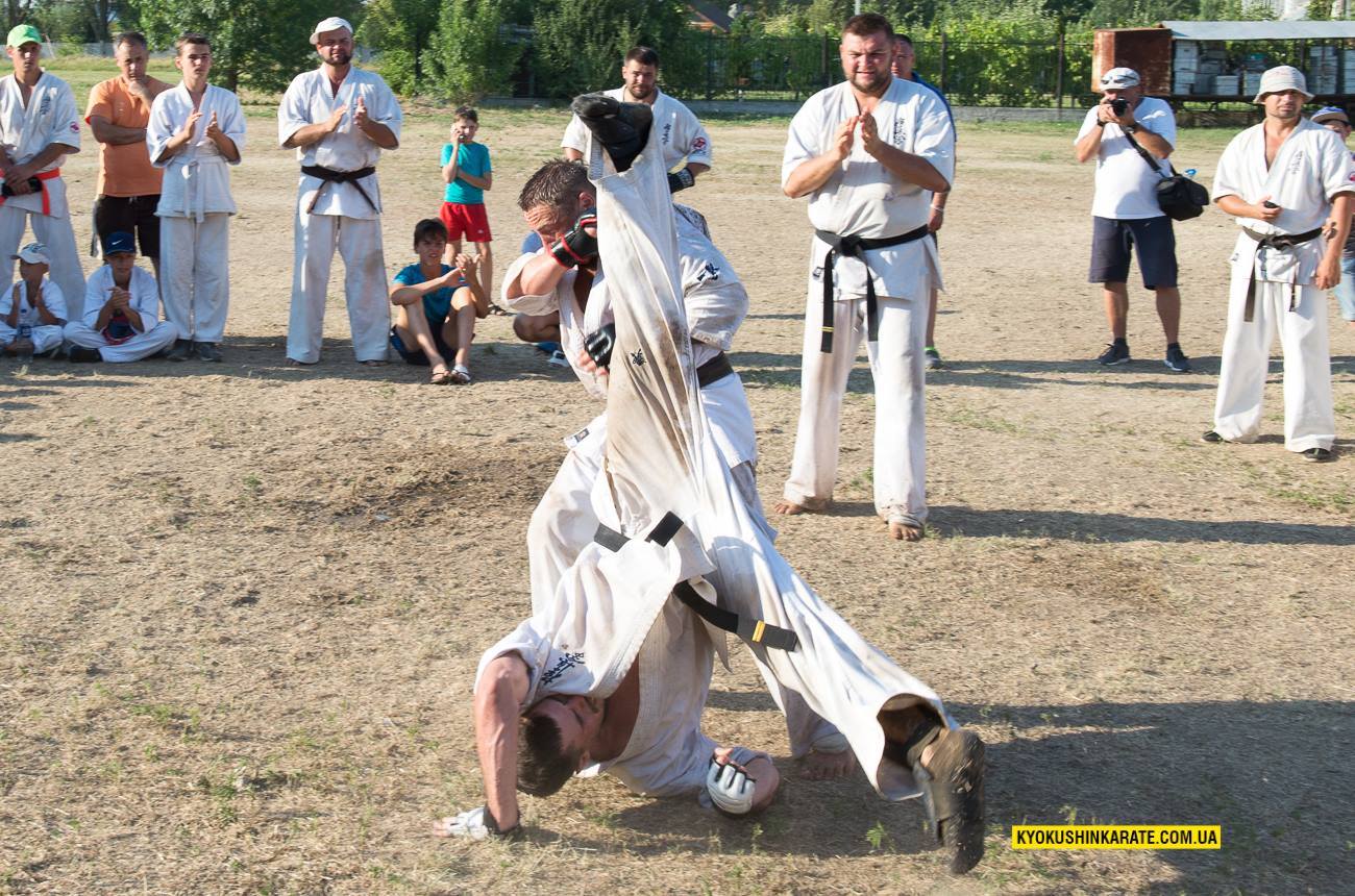 21122850 504833006531817 1041051093 o