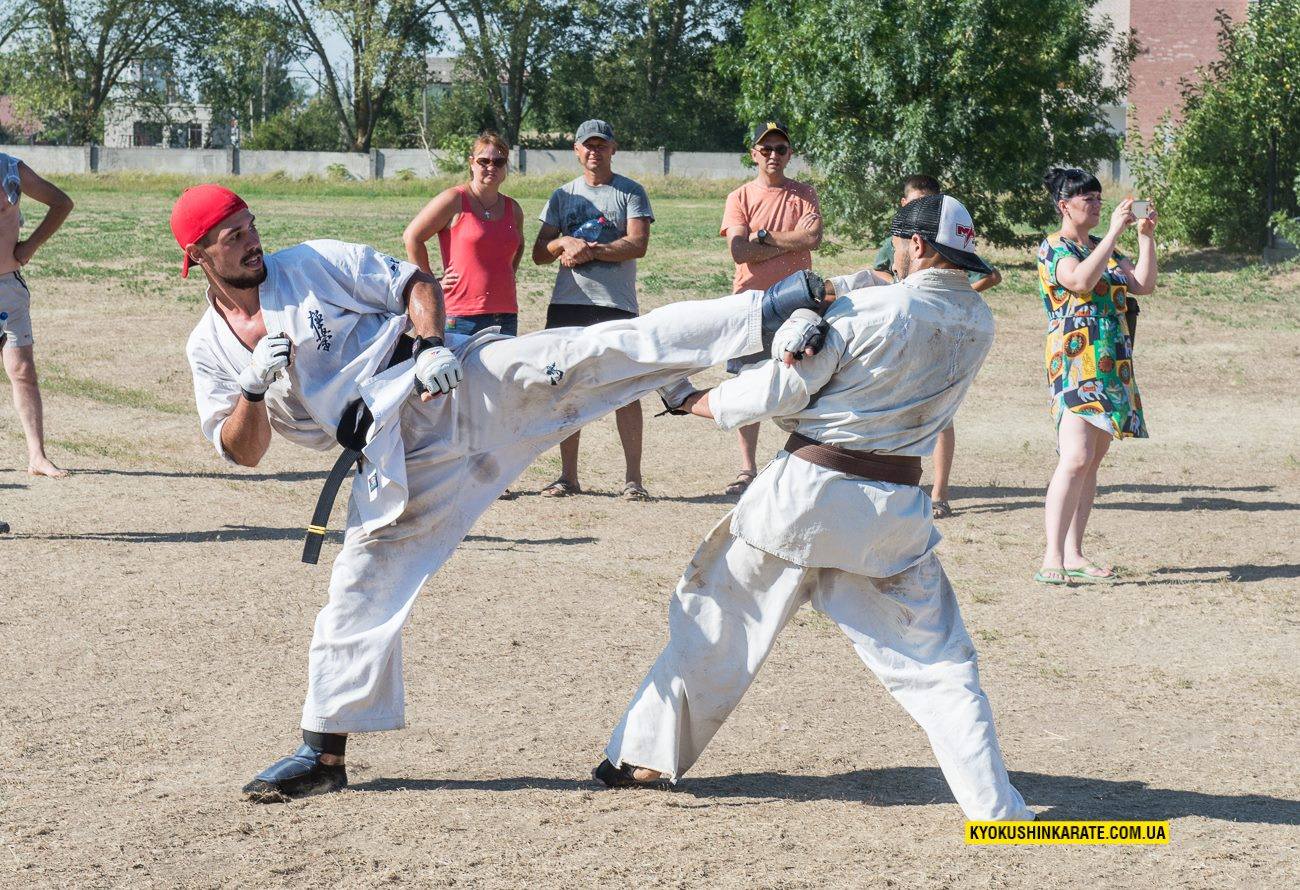 21146278 504833029865148 1460662804 o