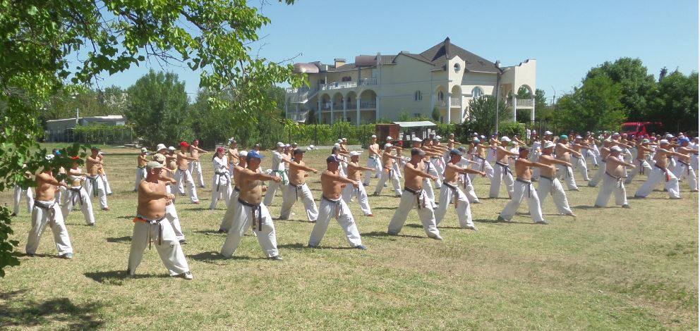 21146914 504832889865162 691085274 o