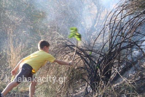 20170923171916 IMG 0994 wm-1