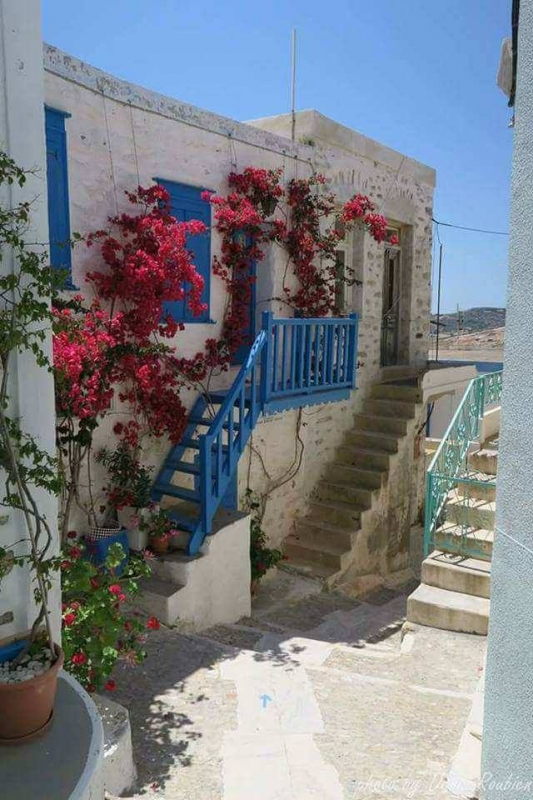 21903784 117756288908371 528127260 n