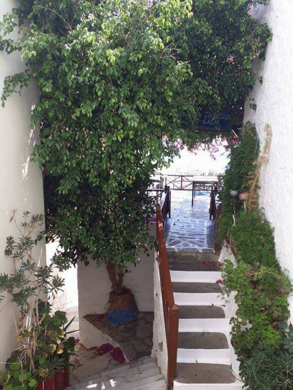 21905544 117756205575046 2003853947 n