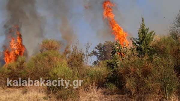 fire vasiliki 2017 1