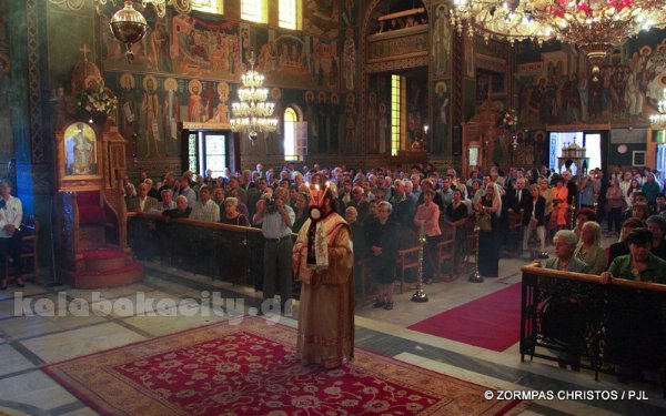 kastania STM 0808 resize