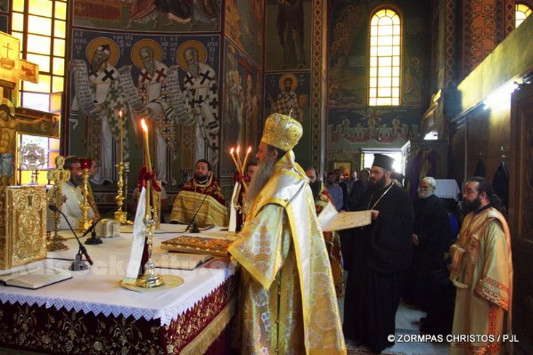 kastania STM 0815 resize