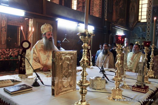 kastania STM 0838 resize