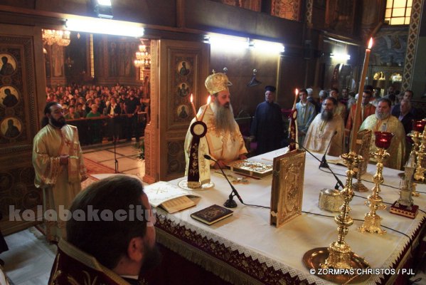 kastania STM 0846 resize