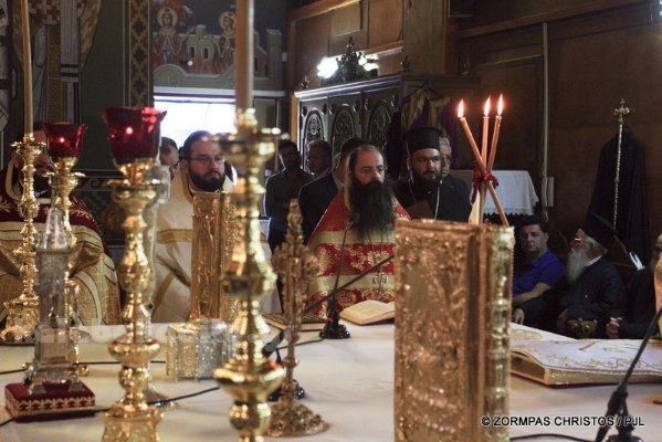 kastania STM 0855 resize