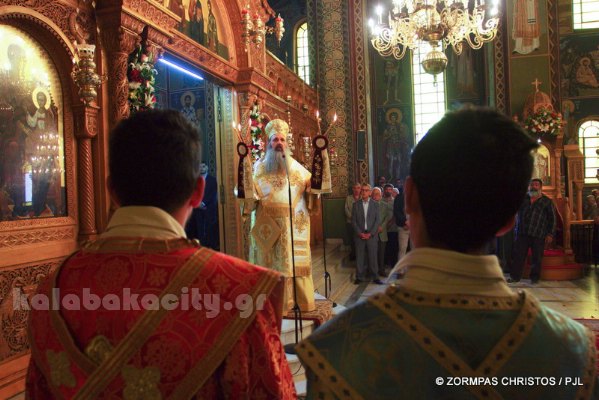 kastania STM 0893 resize