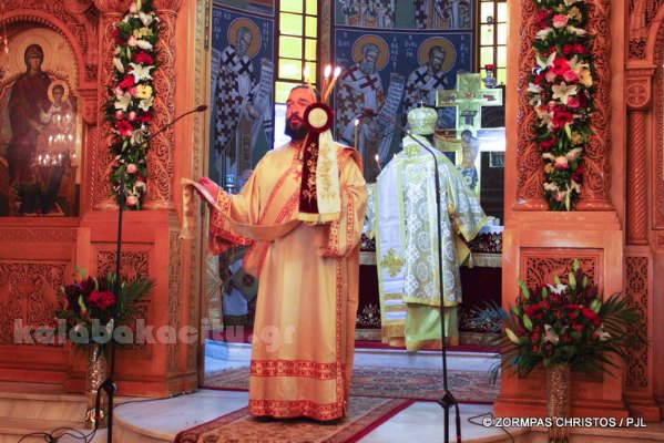 kastania STM 0896 resize