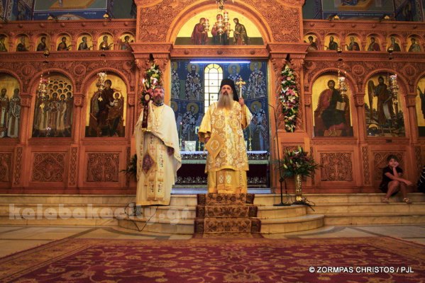 kastania STM 0917 resize