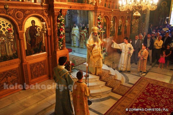 kastania STM 0939 resize