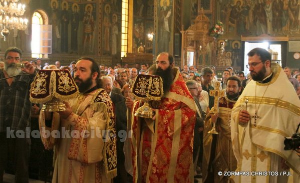 kastania STM 0961 resize