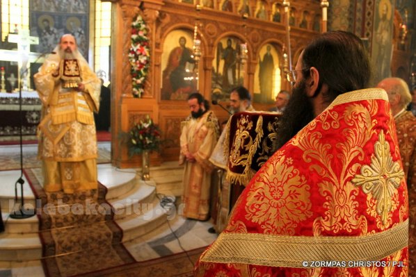 kastania STM 0972 resize