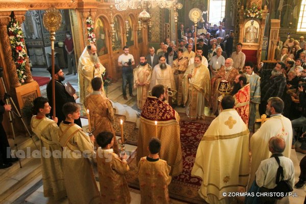 kastania STM 0979 resize