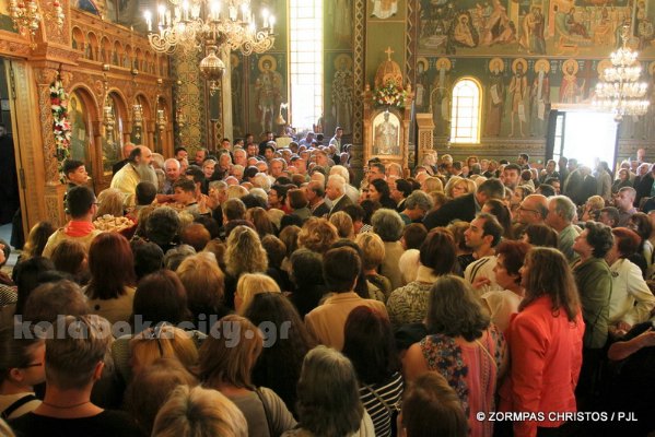 kastania STM 1146 resize (1)