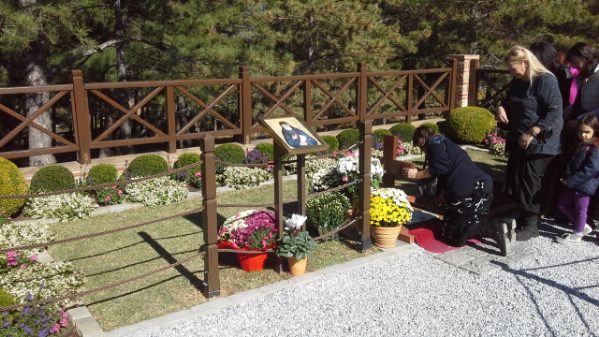 theotokos 20171029 123730