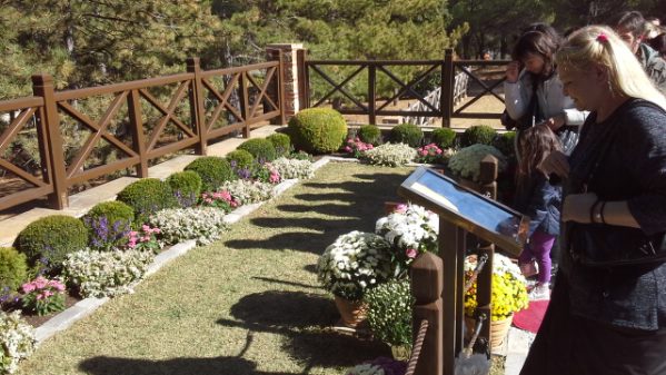 theotokos 20171029 123756