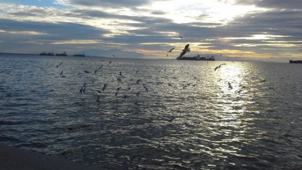 theotokos 20171029 163736