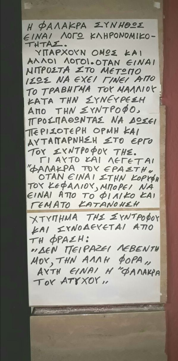 FALAKRA20171109 223336