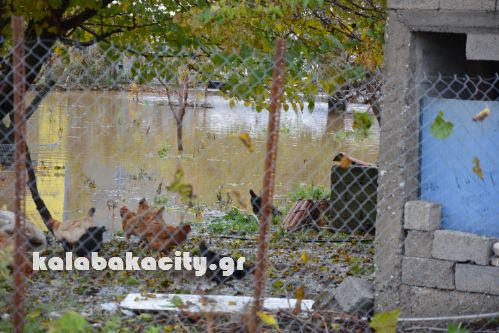 kalabaka1711DSC 0436