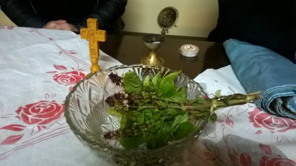 oxyneia WP 20171105 16 14 20 Pro