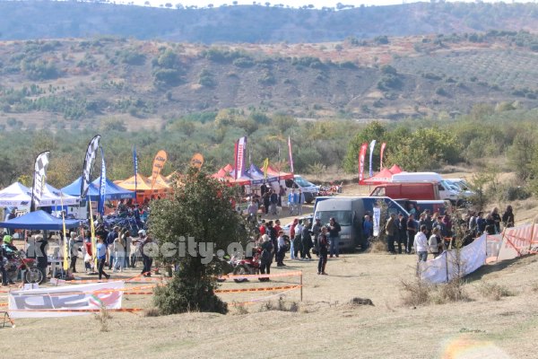 trial rizoma IMG 2479