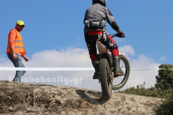 trial rizoma IMG 2485