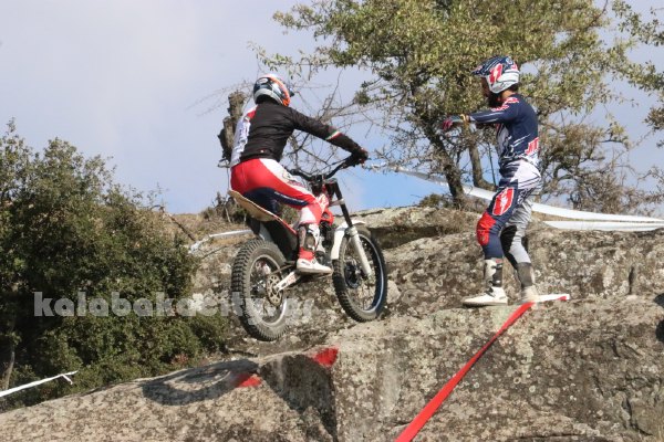 trial rizoma IMG 2495