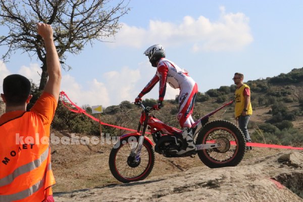 trial rizoma IMG 2527